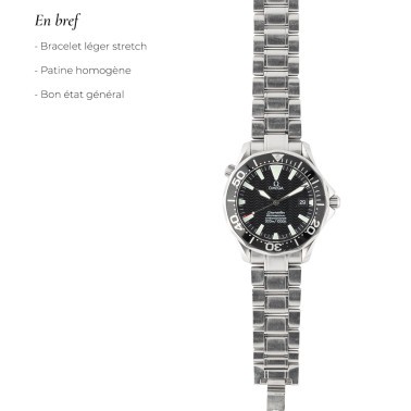 Montre Omega Seamaster Diver 300M Peter Blake 1990s 40 mm