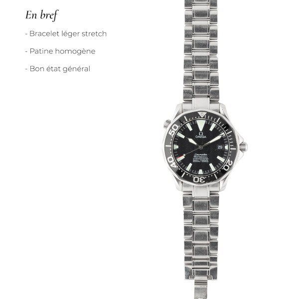 Montre Omega Seamaster Diver 300M Peter Blake 1990s 40 mm