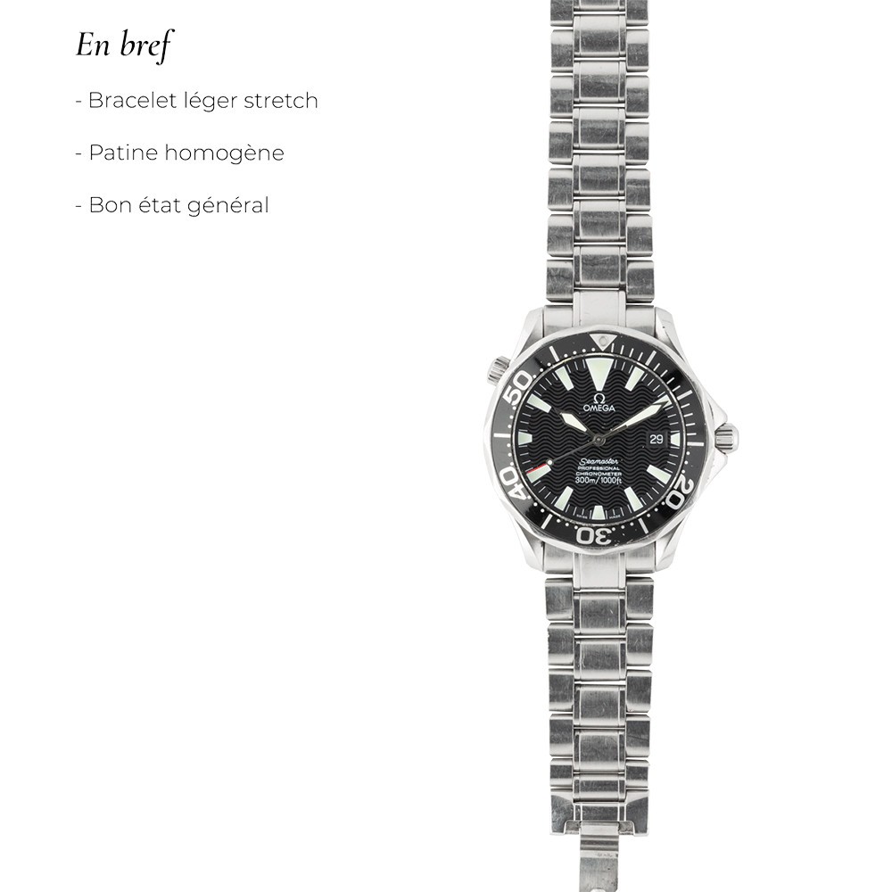 Montre Omega Seamaster Diver 300M Peter Blake 1990s 40 mm