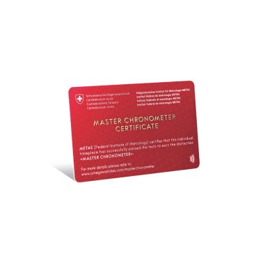 Montre Omega De Ville Trésor Co-Axial Master Chronometer Réserve de Marche Or jaune cadran argent bracelet cuir gris 40 mm 435.5