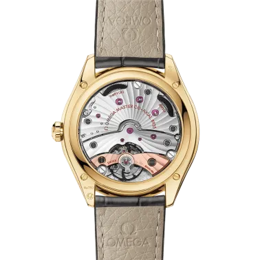 Montre Omega De Ville Trésor Co-Axial Master Chronometer Réserve de Marche Or jaune cadran argent bracelet cuir gris 40 mm 435.5