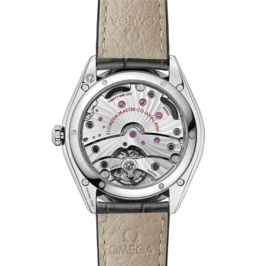 Montre Omega De Ville Trésor Co-Axial Master Chronometer Petite Seconde automatique lunette sertie cadran argent bracelet cuir b