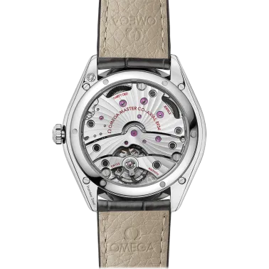 Montre Omega De Ville Trésor Co-Axial Master Chronometer Réserve de Marche cadran argent bracelet cuir brun 40 mm 435.13.40.22.0