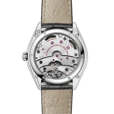 Montre Omega De Ville Trésor Co-Axial Master Chronometer Petite Seconde automatique cadran gris bracelet cuir brun 40 mm 435.13.