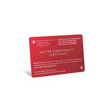 Montre Omega Aqua Terra 150M Co-Axial Master Chronometer GMT Worldtimer bracelet acier 43 mm 220.10.43.22.03.001