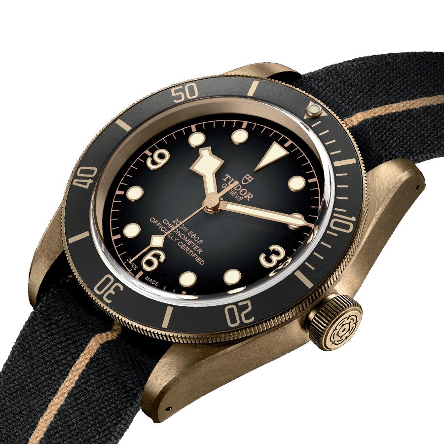 Montre Tudor Black Bay Bronze automatique 43 mm M79250BA0002 Lepage