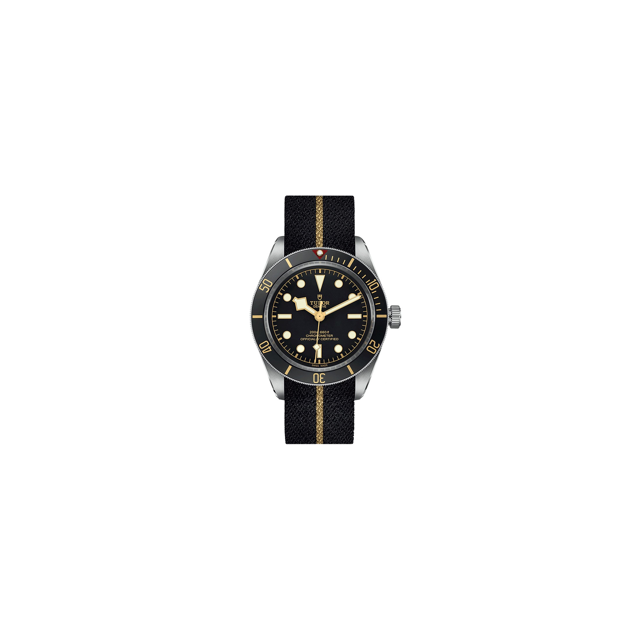 Tudor Black Bay 58 automatic Watch 39 mm M79030N-0003 Lepage