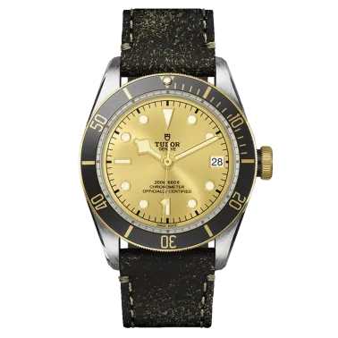 Montre Tudor Black Bay S&G automatique lunette or jaune cadran champagne bracelet cuir vieilli brun 41 mm M79733N-0003