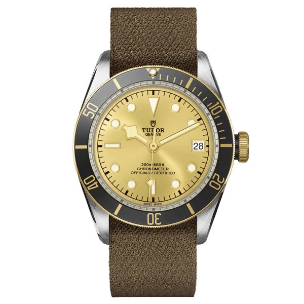 Tudor Black Bay S&G automatic watch yellow gold bezel champagne dial brown fabric strap 41 mm M79733N-0006