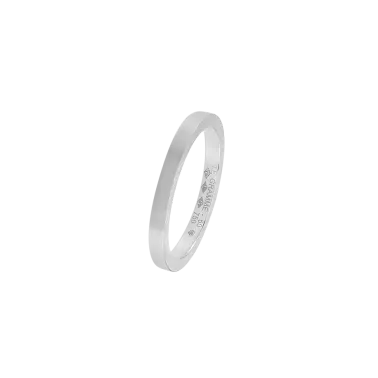 Alliance Le Gramme Ruban 2 mm La 5g en or blanc 750 Lisse Brossé LG_AOBBR011_05