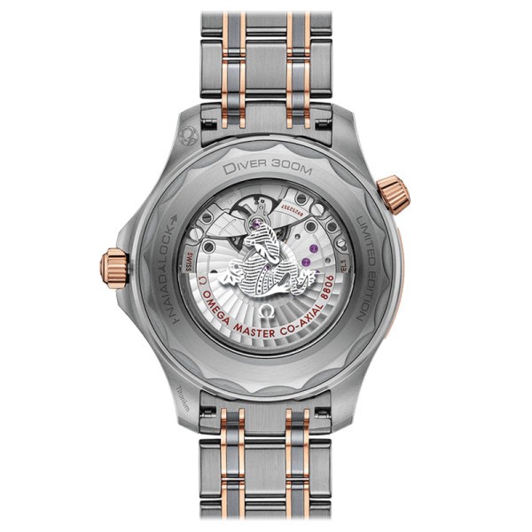 Montre Omega Seamaster Diver 300m Titanium Tantalum Ed. limitée 2500 exemplaires 42 mm