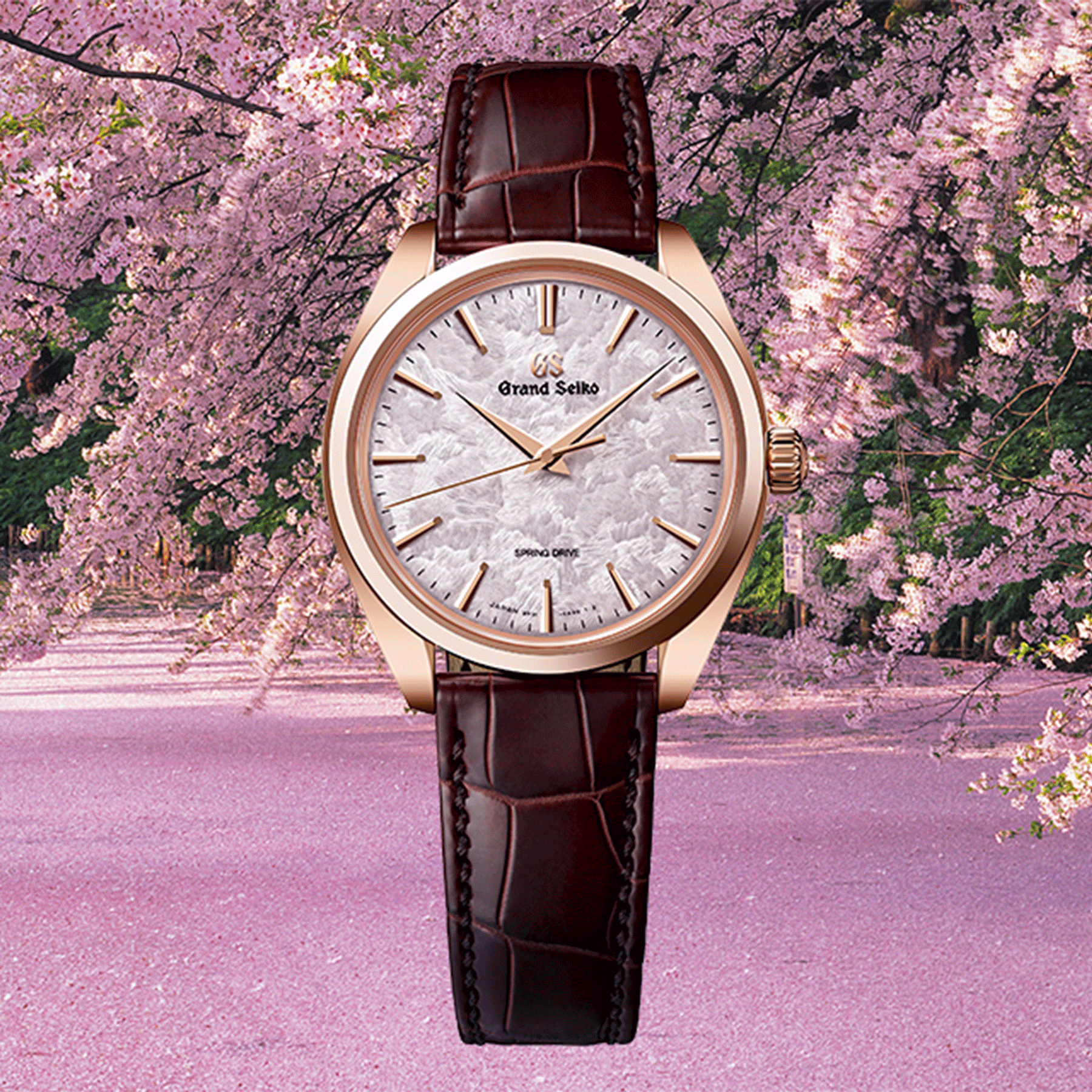 Grand seiko spring drive best sale