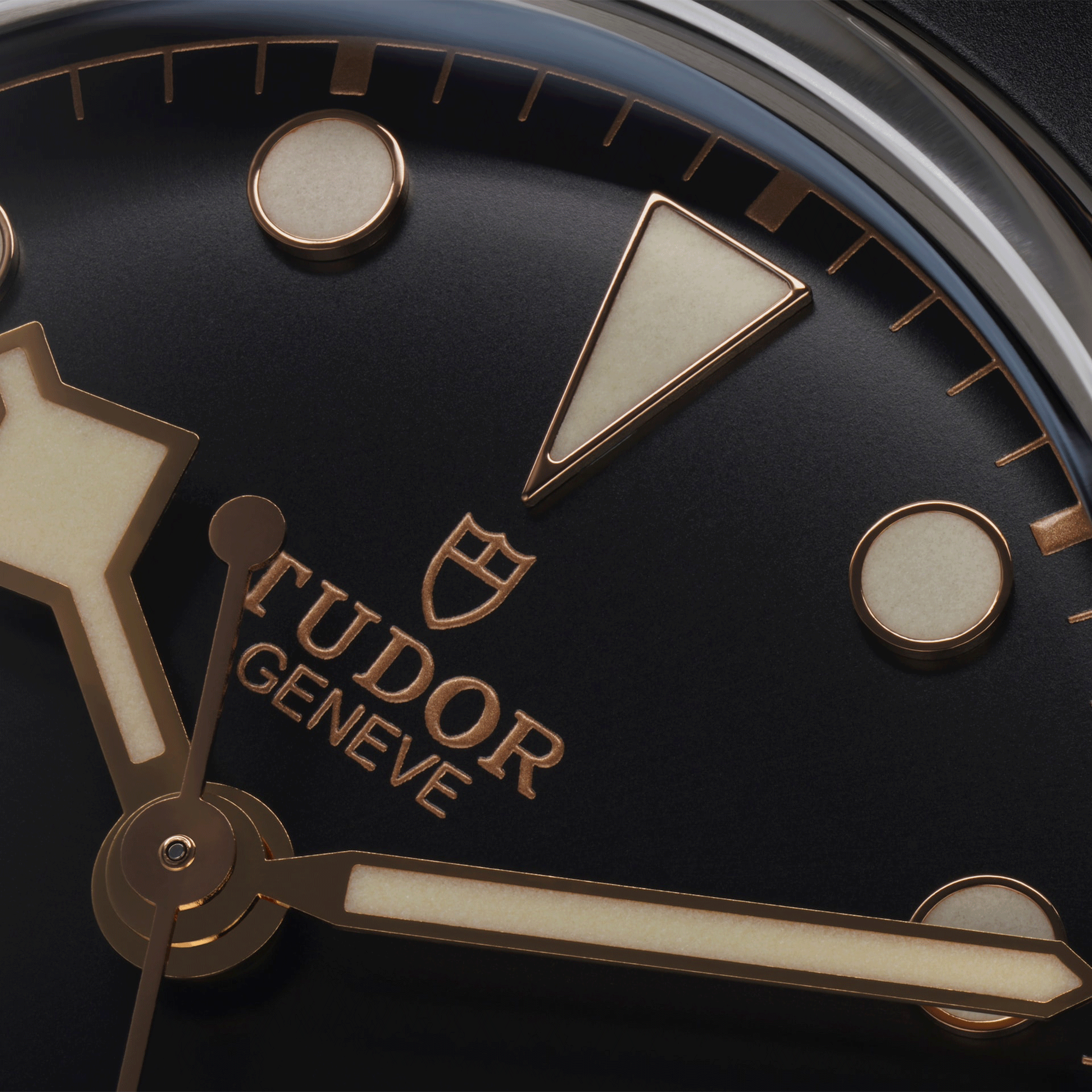 Tudor Black Bay 54 automatic black dial rubber strap 37 mm