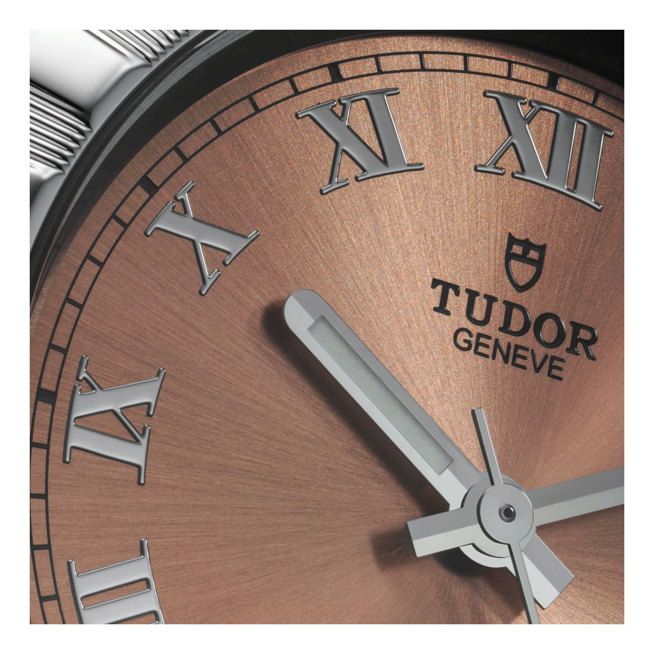 Tudor Royal automatic salmon watch 38 mm M28500-0007 Lepage