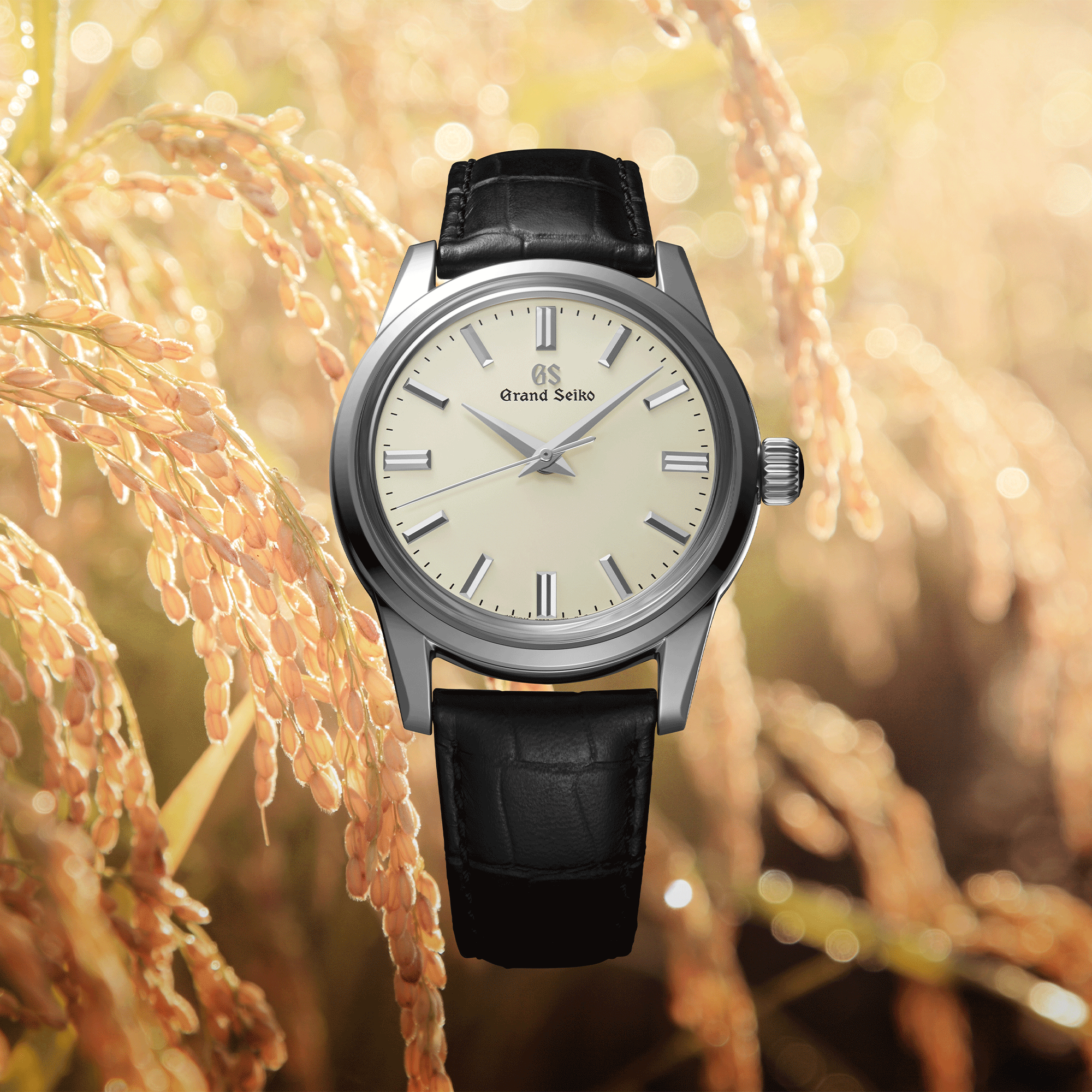 Montre Grand Seiko Elegance mécanique cadran ivoire bracelet cuir crocodile noir 37,3 mm