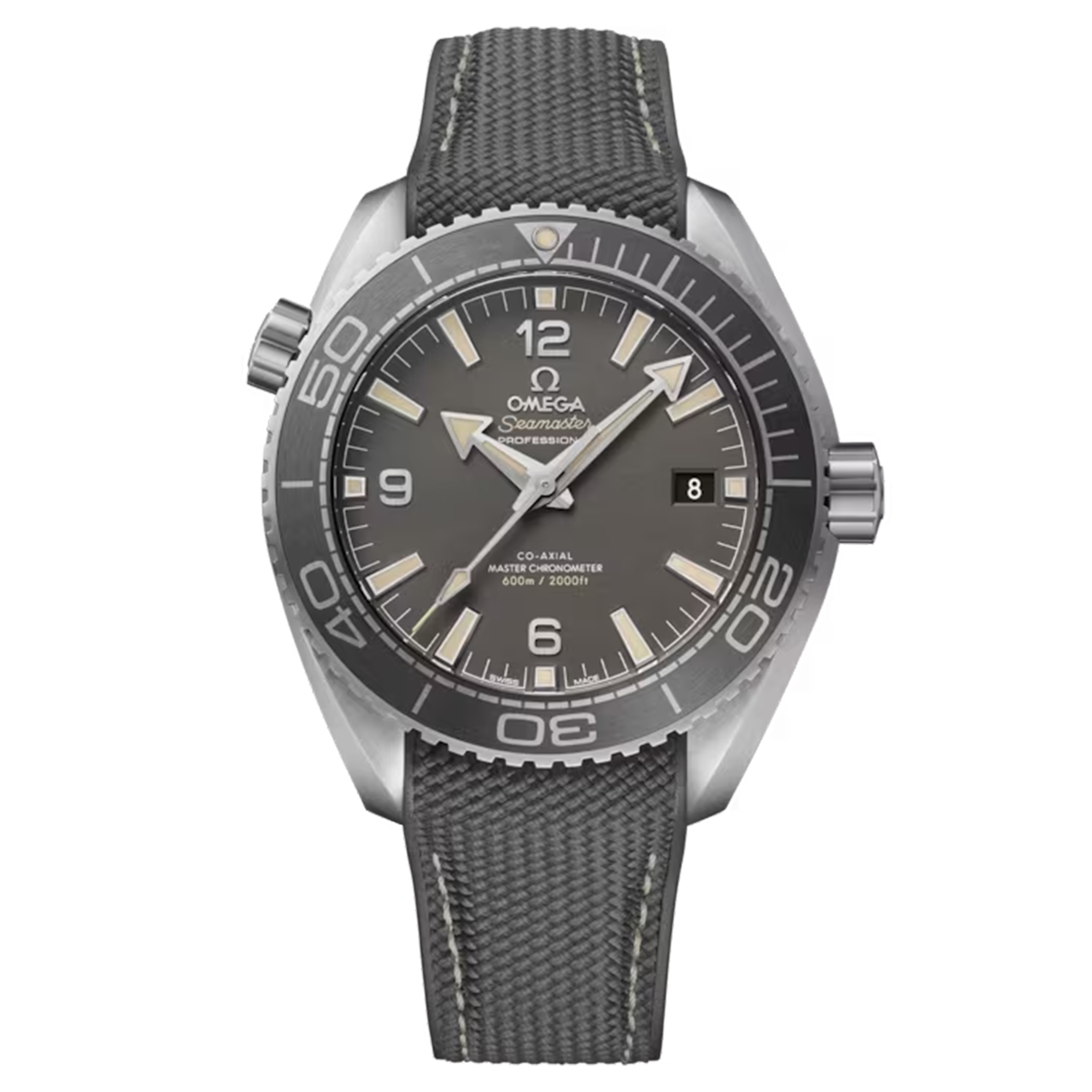 Montre Omega Seamaster Planet Ocean 600m Co-Axial Master Chronometer cadran gris bracelet caoutchouc 43,5 mm