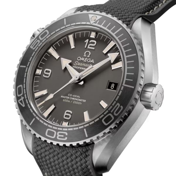 Montre Omega Seamaster Planet Ocean 600m Co-Axial Master Chronometer cadran gris bracelet caoutchouc 43,5 mm
