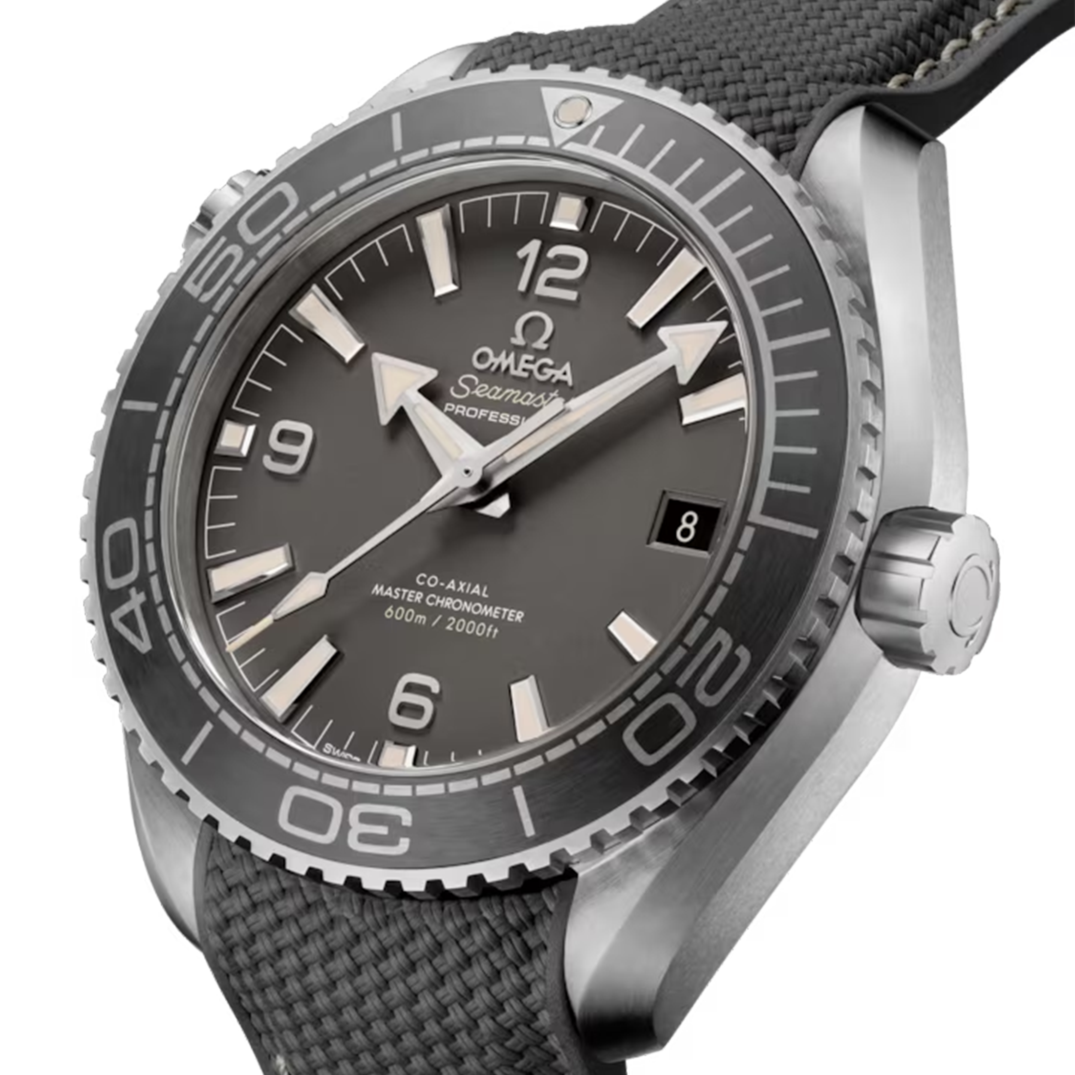 Montre Omega Seamaster Planet Ocean 600m Co-Axial Master Chronometer cadran gris bracelet caoutchouc 43,5 mm