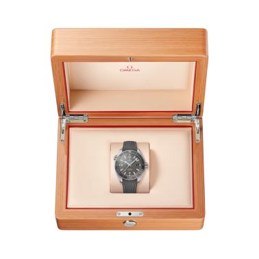 Montre Omega Seamaster Planet Ocean 600m Co-Axial Master Chronometer cadran gris bracelet caoutchouc 43,5 mm