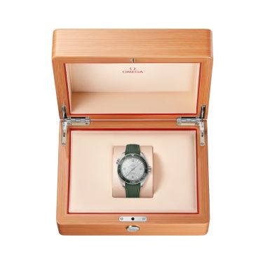Omega Seamaster Planet Ocean 600m Co-Axial Master Chronometer grey steel rubber strap 43,5 mm
