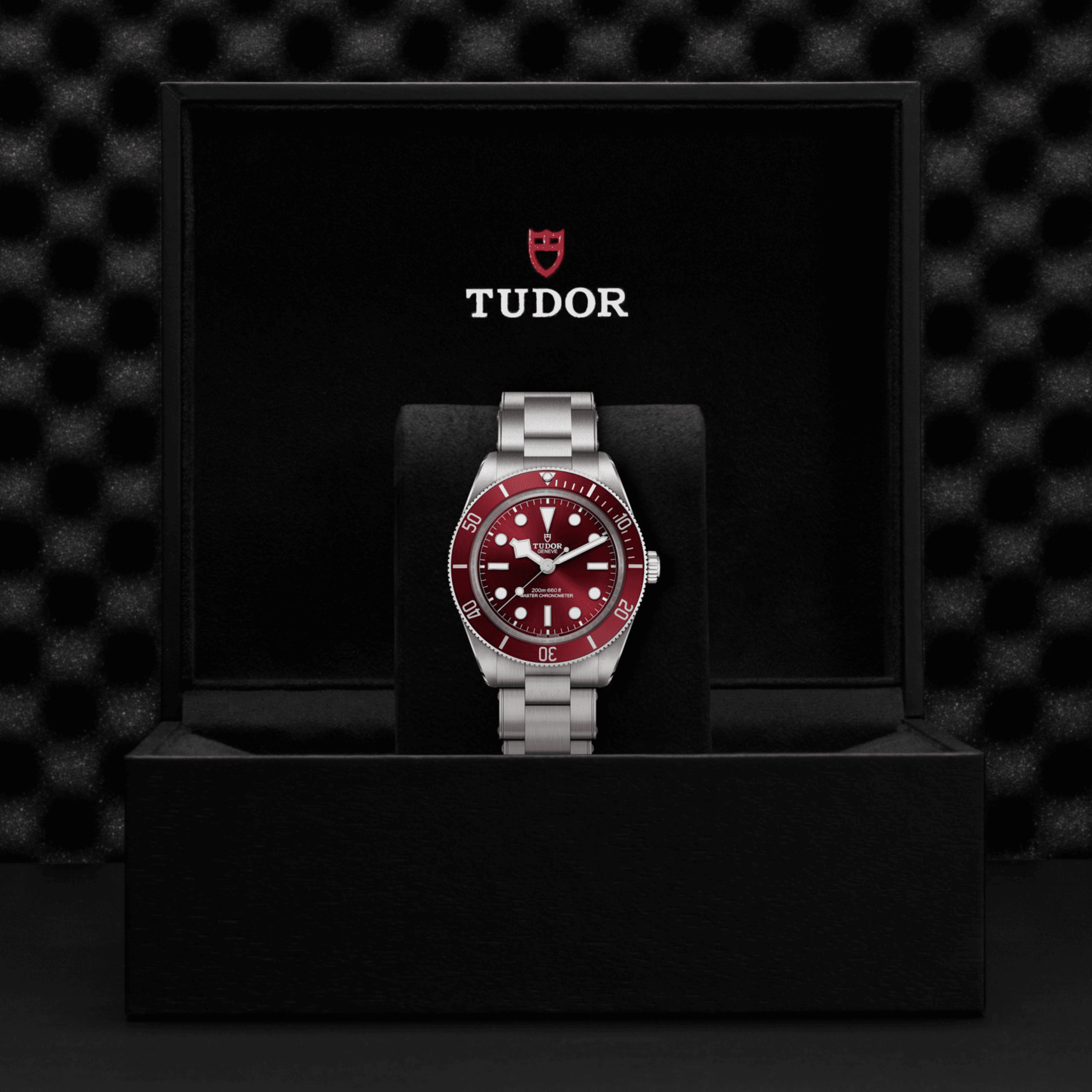 Tudor Black Bay 58 automatic burgundy dial steel “rivet” bracelet 39 mm