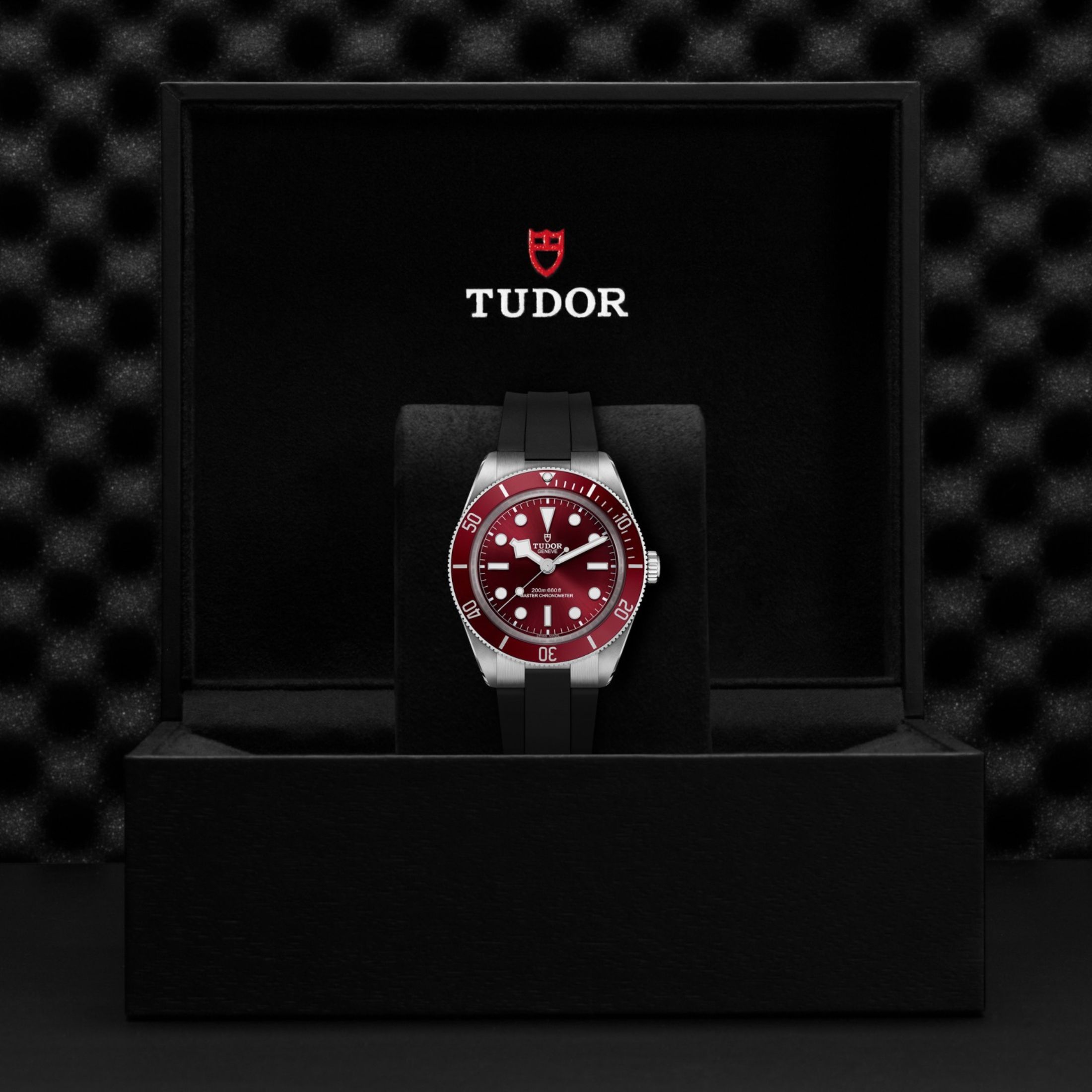Tudor Black Bay 58 automatic burgundy rubber bracelet 39 mm