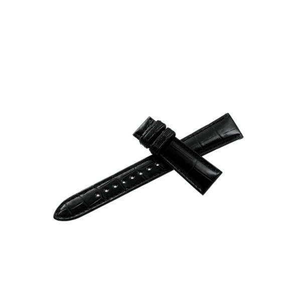 Grand Seiko Evolution 9 Spring Drive U.F.A pale blue dial titanium bracelet 37 mm