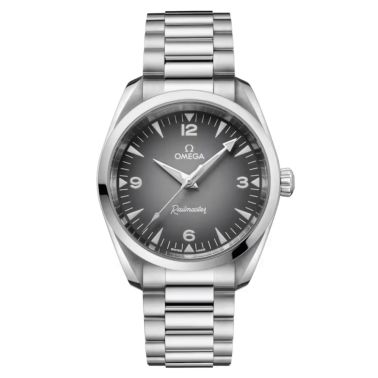 Montre Omega Seamaster Railmaster Co-Axial Master Chronometer cadran gris bracelet acier 38 mm