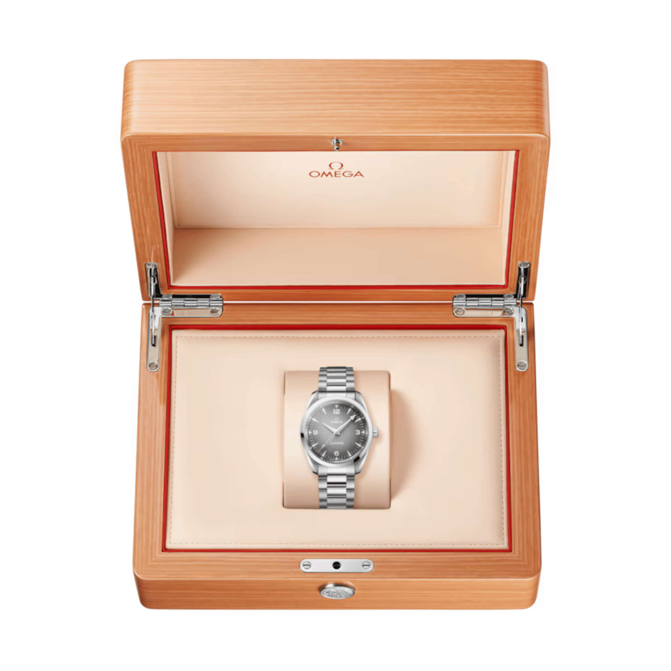 Montre Omega Seamaster Railmaster Co-Axial Master Chronometer cadran gris bracelet acier 38 mm