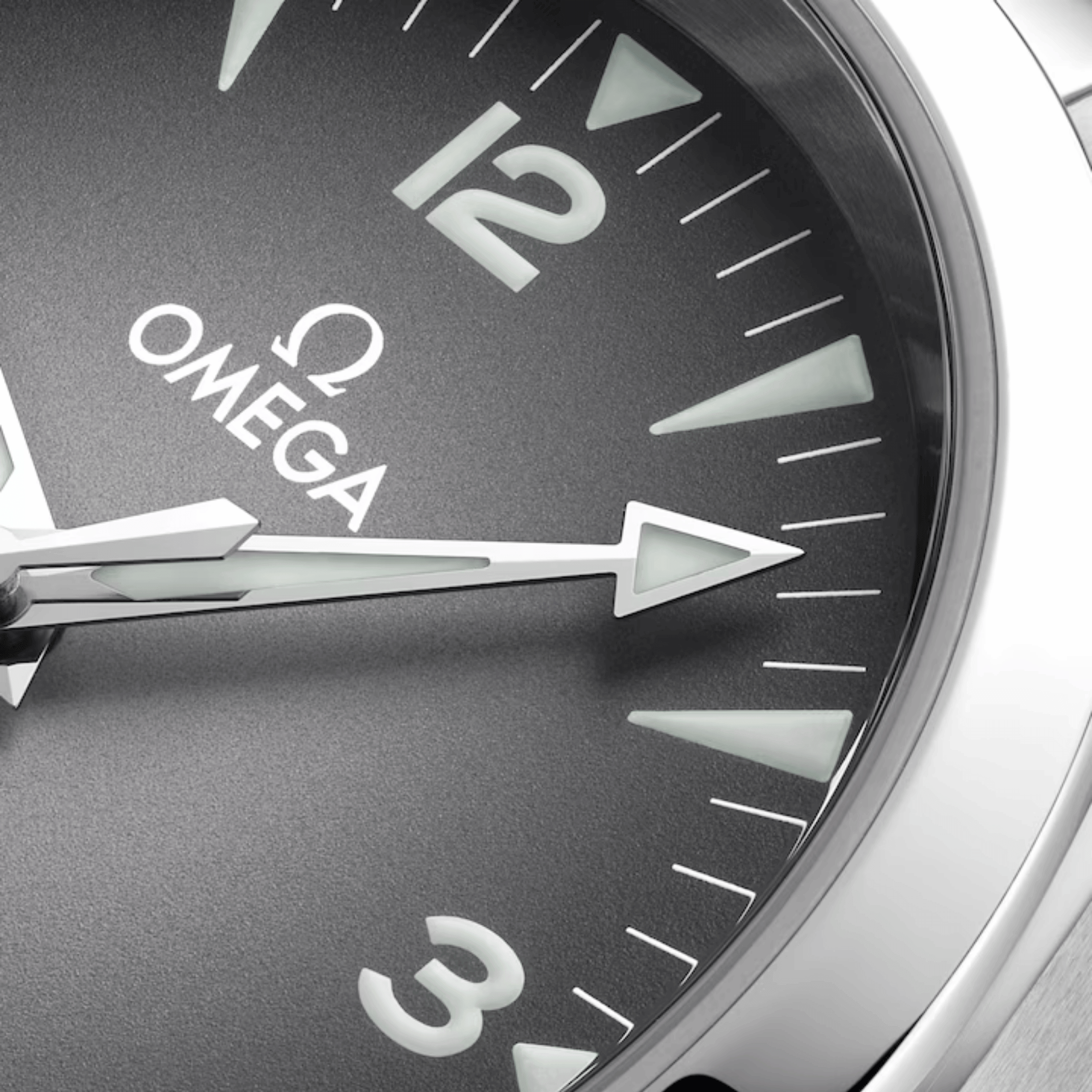 Montre Omega Seamaster Railmaster Co-Axial Master Chronometer cadran gris bracelet acier 38 mm