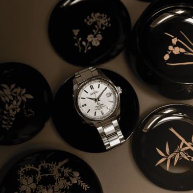 Grand Seiko SBGR077 Magnetic Resistant automatic 41 mm Full Set 